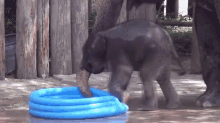 cute-funny.gif