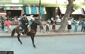 ani_horse-fall.gif
