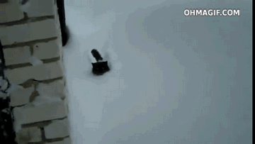 980x.gif