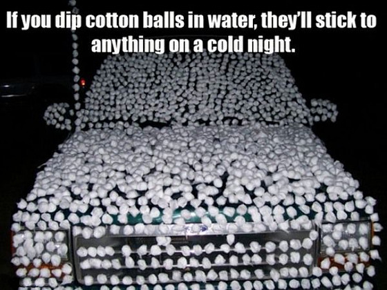 cotton-ball-prank.jpg