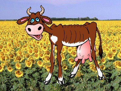 really-skinny-cow.jpg