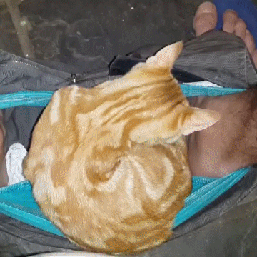 perfect-resting-spot