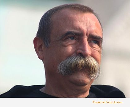 walrus-mustache.jpg