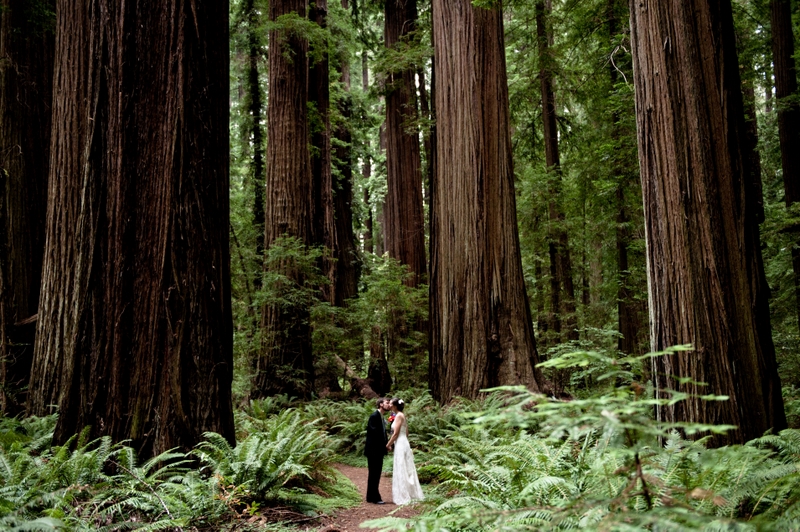 redwood-kiss.jpg