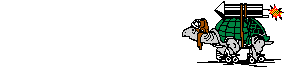 Jet_turtle.gif