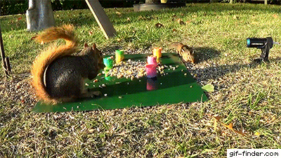 4XBJLdp.gif
