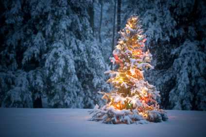 christmas-snow-scene1.jpg