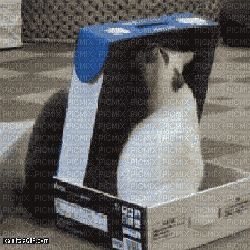 602567_9896a.gif