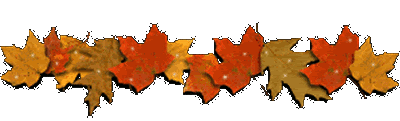 divider%2B13.gif
