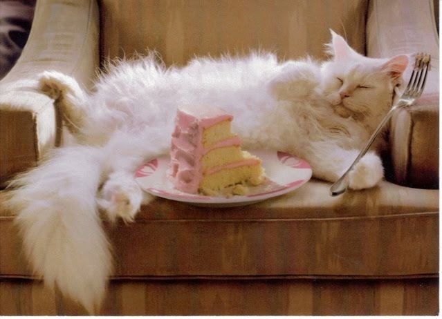 cat-cake.jpg