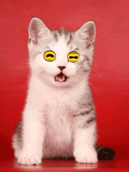 hypnocat.gif
