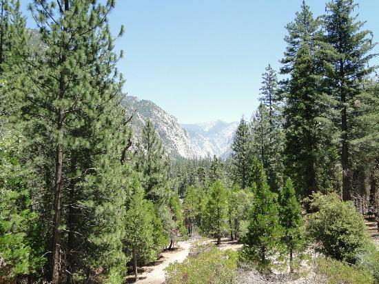 cedar-grove-village.jpg