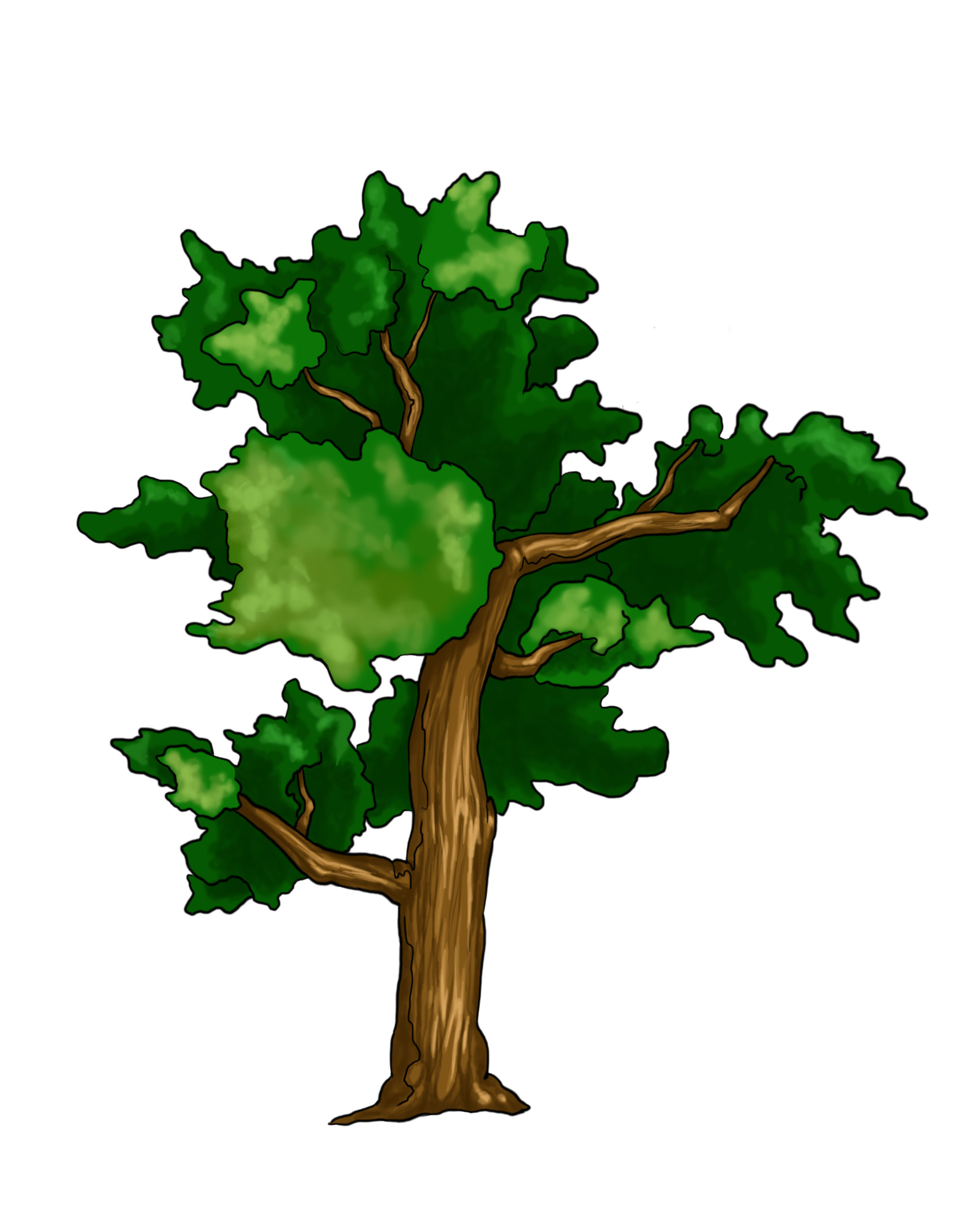 Draw-a-Real-Tree-Step-8.jpg
