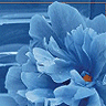 icon026.gif