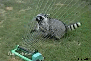4758_2cd0.gif
