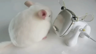 jEa9f6W.gif