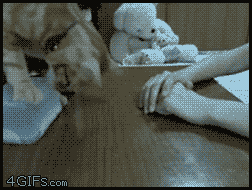 lK8y1vQ.gif