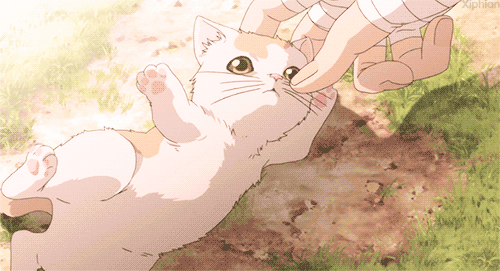 l5zSqAN.gif