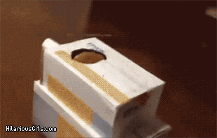 ani_cat-in-tank-box.gif