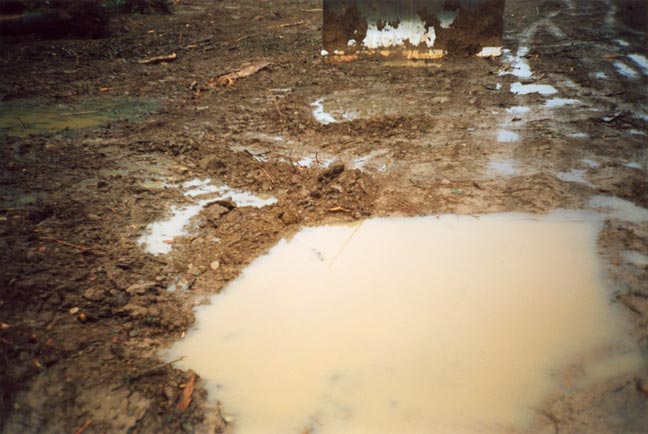 dana_mud_puddle.jpg