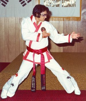 elvis_karate11.jpg
