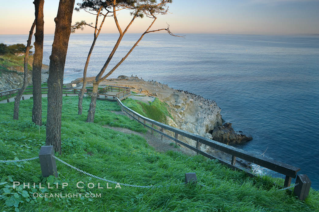la-jolla-cliffs-picture-20249-940867.jpg