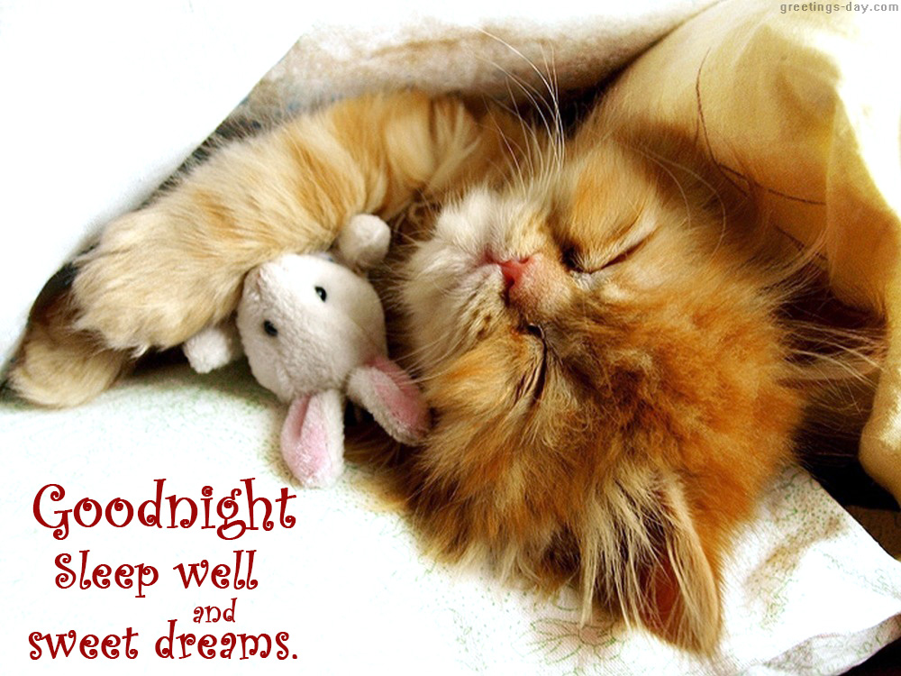 good-night-sleep-well.jpg
