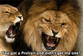 lionessprov.jpg