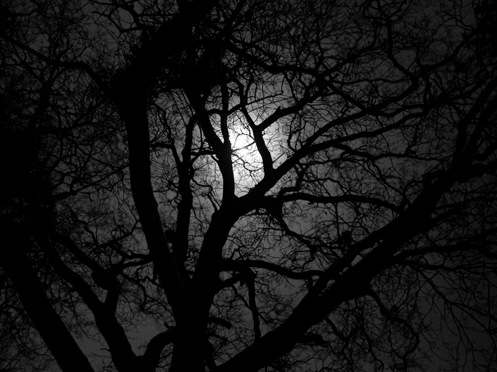 night.gif