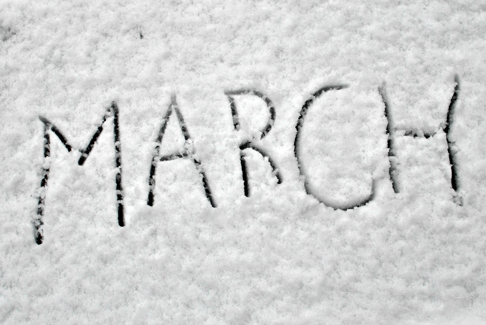snow+in+march.jpg