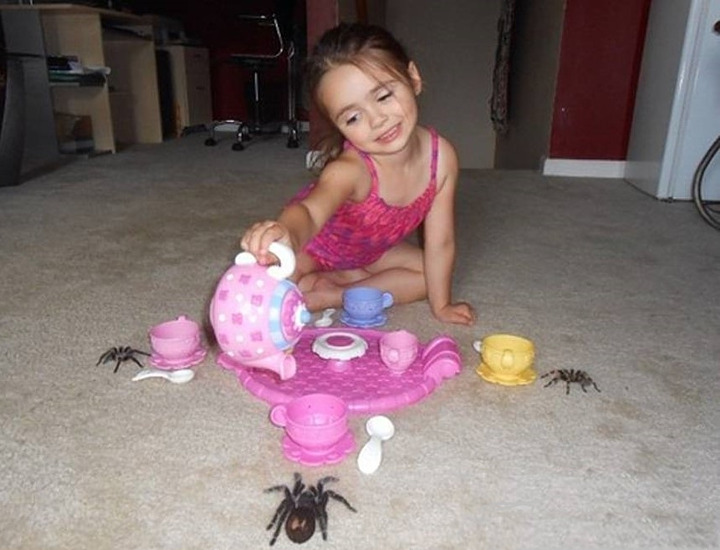 spider-tea-party-kid.jpg