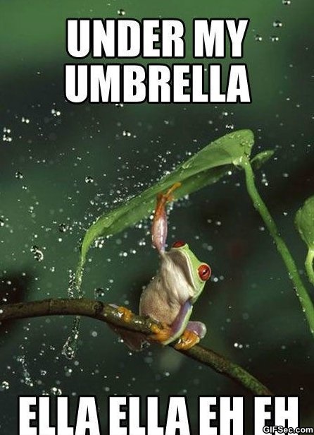 1555334853-Funny---Umbrella.jpg