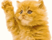 cat%2Bwaving.gif
