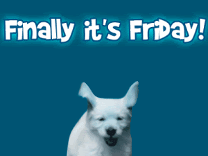 finally_friday.gif