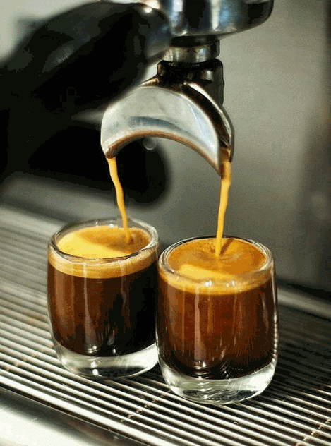 7d92eace26d2ef7c44c0bb09b568e5c2.gif