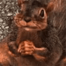 main-qimg-e2409e6c1b9cce8388f7e908e45574ee