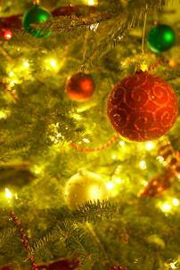 christmas~~element53.jpg