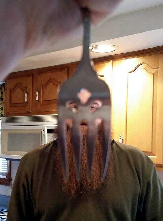 bearded-fork-face.jpg