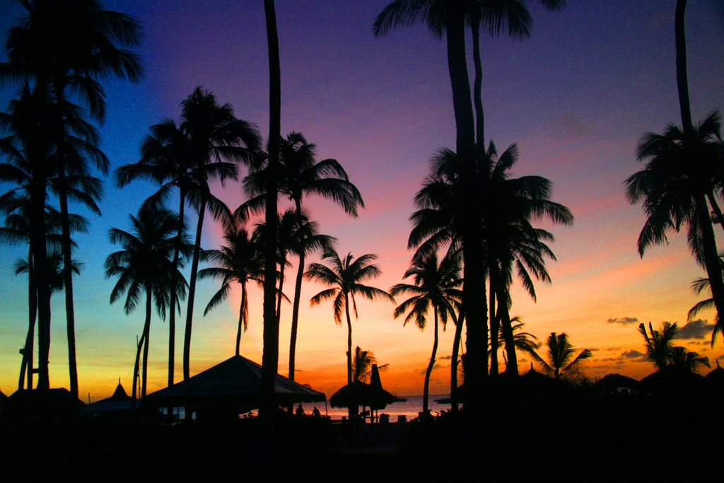 sunset3.jpg
