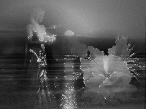 1e1b66f929de3a1372544b928ad4667a.gif
