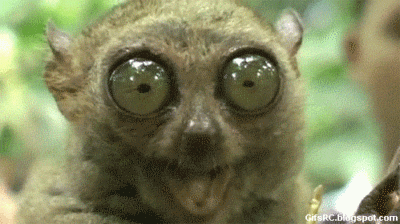 big-eyes.gif