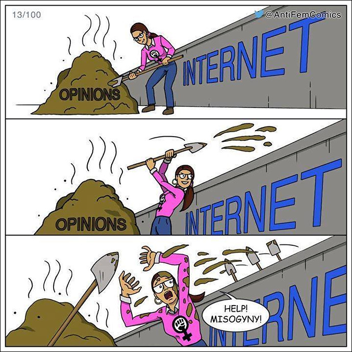 toon_misogynist-reaction.jpg