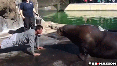 e0f5742a5575fb202070117397b61041.gif