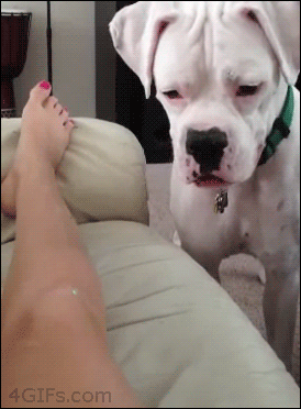 what-did-she-think-was-going-to-happen