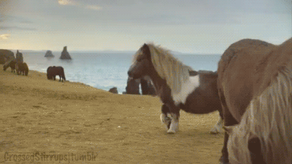 Oec2TUY.gif