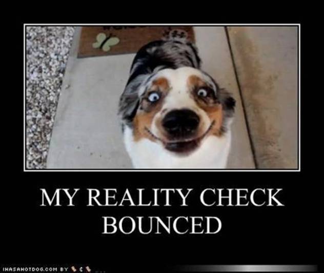 reality-check-bounced.jpg