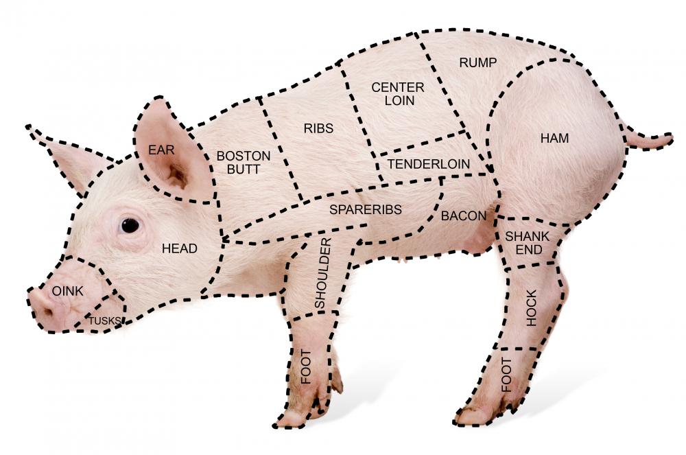pork-cut-diagram.jpg