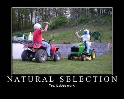 darwin-awards.jpg