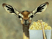 hgdhgfll-228b2ab.gif