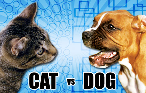 cat+vs+dog.jpg